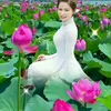 dung.tran84