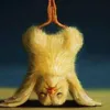 vunguyen.1704.1974