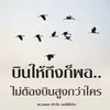 tatea._126