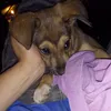 kevinr2615