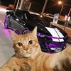 andresmtz_cars