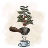 espressokw