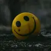 su_ha_si_ni_012