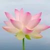 ms.bulaklak84