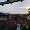priatangguh121