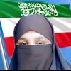 aminaahmed3028