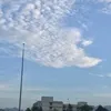 hihihahahoho85