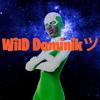 wild_dominikk