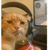 lamovecozbej