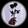 zainab__abbasi__
