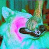 walxyl