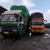 alex.wahyudi47