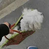itsnedis