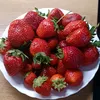 mariaselivanova_654b8