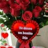elvismelchor502