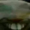 rudyni334