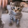 crazymum54