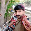 shazad8211