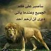 user3838178141612