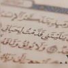 aqeela7821