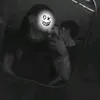 fernnxd_wxz