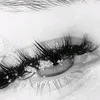barashka_2282