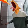 _charizana_