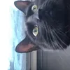 miomariohahah