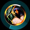 وضـــــ𝒲𝒹𝒶ℎـــــاح⌚🇸🇦