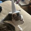 emilycake14