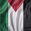 hussain.m53