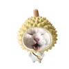 userhtq4qp4do6