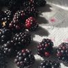 emac.nutrition