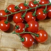 tomato8471