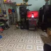 hoi.mai.gia.cng