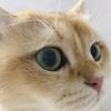 user1541911815128