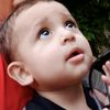 rajavickyshab6856