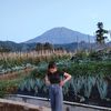wdyaa0617