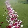 zaibzaib978