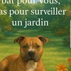 user2517867633978