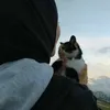 misnawati.memes
