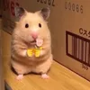 umbalaumbalaaaa