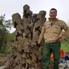 nguyenthanhbonsai09