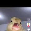 miyukicutieee9