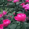 userbbhvs7ob4s