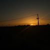 alaa_2008_2