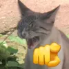 jjjzdxd