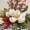 user343019888317