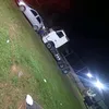 tubarão terrestre