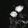 xxxclaulauvia_
